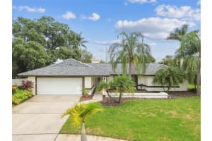4311 Saltwater Blvd, TAMPA