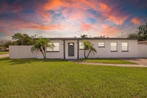 8002 Fernview Ln, TAMPA