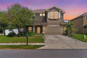 7717 Landcare Ln, TAMPA