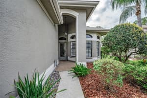 1502 WOODSTREAM DRIVE, OLDSMAR, FL 34677 - MLS#MFRTB8428089