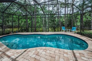 1502 WOODSTREAM DRIVE, OLDSMAR, FL 34677 - MLS#MFRTB8428089