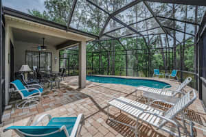 1502 WOODSTREAM DRIVE, OLDSMAR, FL 34677 - MLS#MFRTB8428089