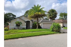 13858 SOFTWIND TRAIL, JACKSONVILLE, FL 32224 - MLS#MFRTB8428114