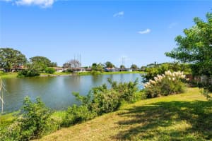 1118 FUCHSIA DRIVE, HOLIDAY, FL 34691 - MLS#MFRTB8428162