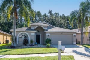 30912 Burleigh Dr, WESLEY CHAPEL