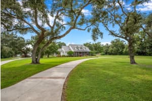 10101 BRYANT ROAD, LITHIA, FL 33547 - MLS#MFRTB8428180