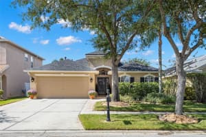 11211 Cypress Reserve Dr, TAMPA