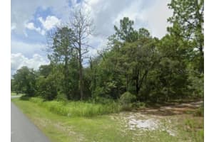 12208 FILBERT ROAD, WEEKI WACHEE, FL 34614 - MLS#MFRTB8428207