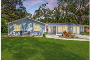 302 E 137TH, TAMPA, FL 33613 - MLS#MFRTB8428220