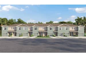 1007 SPOTTED EGRET LOOP, RUSKIN, FL 33570 - MLS#MFRTB8428279