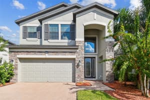19314 LONG LAKE RANCH BOULEVARD, LUTZ, FL 33558 - MLS#MFRTB8428290