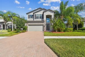 19314 LONG LAKE RANCH BOULEVARD, LUTZ, FL 33558 - MLS#MFRTB8428290