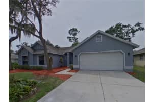 MLS# MFRTB8428344, Riverview, Florida 33578