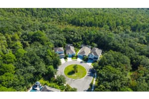 11624 QUIET FOREST DRIVE, TAMPA, FL 33635 - MLS#MFRTB8428353