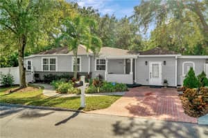 3002 W Alline Ave, TAMPA