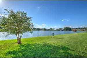 308 LAKE PARSONS GREEN, BRANDON, FL 33511 - MLS#MFRTB8428362