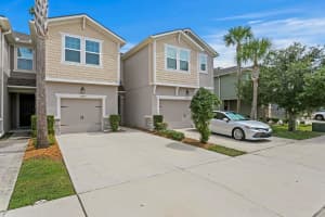 14239 DAMSELFLY DRIVE, TAMPA, FL 33625 - MLS#MFRTB8428367