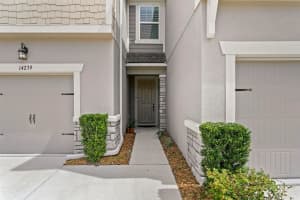 14239 DAMSELFLY DRIVE, TAMPA, FL 33625 - MLS#MFRTB8428367
