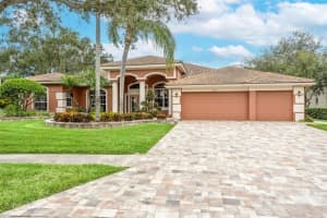 2019 DIAMOND COURT, OLDSMAR, FL 34677 - MLS#MFRTB8428371