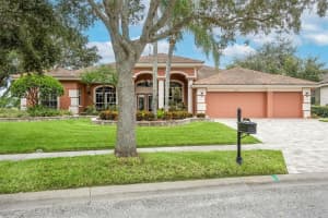 2019 DIAMOND COURT, OLDSMAR, FL 34677 - MLS#MFRTB8428371