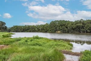 2019 DIAMOND COURT, OLDSMAR, FL 34677 - MLS#MFRTB8428371