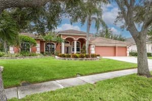 2019 DIAMOND COURT, OLDSMAR, FL 34677 - MLS#MFRTB8428371