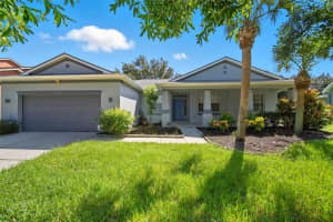 11724 Holly Creek Dr, RIVERVIEW