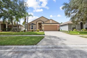 10839 WILD COTTON COURT, LAND O LAKES, FL 34638 - MLS#MFRTB8428413