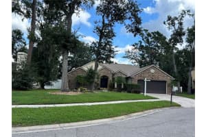 3810 HOLLOW WOOD DR, VALRICO, FL 33596 - MLS#MFRTB8428417