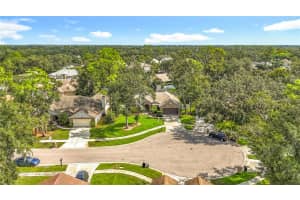 3810 HOLLOW WOOD DR, VALRICO, FL 33596 - MLS#MFRTB8428417