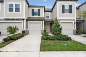 31967 Blue Passing Loop, WESLEY CHAPEL