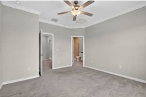 31967 BLUE PASSING LOOP, WESLEY CHAPEL, FL 33545 - MLS#MFRTB8428452