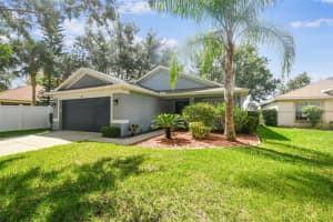 11013 LAUREL BROOK COURT, RIVERVIEW, FL 33569 - MLS#MFRTB8428456