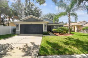 11013 LAUREL BROOK COURT, RIVERVIEW, FL 33569 - MLS#MFRTB8428456