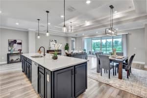 19033 SHIP WHEEL WAY, LAND O LAKES, FL 34638 Sold 11/21/25