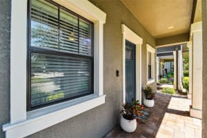 28465 TRANQUIL LAKE CIRCLE, WESLEY CHAPEL, FL 33543 - MLS#MFRTB8428477