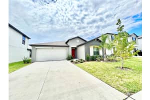 8769 PARSONS HILL BOULEVARD, WESLEY CHAPEL, FL 33545 - MLS#MFRTB8428490