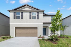 15312 Miller Creek Dr, SUN CITY CENTER