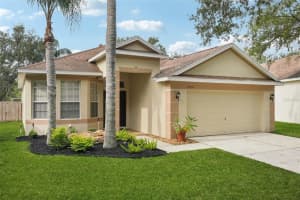 18118 Antietam Ct, TAMPA