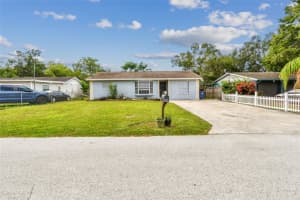 4117 SEWAHA STREET, TAMPA, FL 33617 - MLS#MFRTB8428521