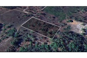 156 PL, DUNNELLON, FL 34432 - MLS#MFRTB8428539