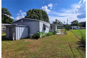36349 5 ACRE LANE, ZEPHYRHILLS, FL 33541 - MLS#MFRTB8428548