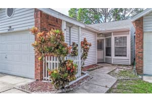 3054 Beecher Dr E #f, PALM HARBOR
