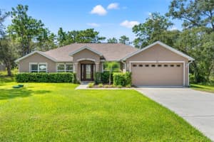 11993 ROBINA ROAD, WEEKI WACHEE, FL 34614 - MLS#MFRTB8428631