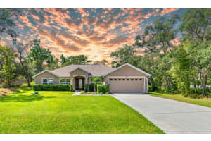 11993 ROBINA ROAD, WEEKI WACHEE, FL 34614 - MLS#MFRTB8428631