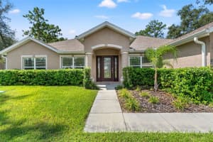 11993 ROBINA ROAD, WEEKI WACHEE, FL 34614 - MLS#MFRTB8428631