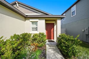 22539 STORYBOOK CABIN WAY, LAND O LAKES, FL 34637 - MLS#MFRTB8428647