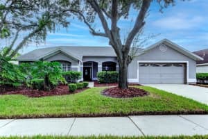12425 Seabrook Dr, TAMPA