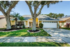 9613 CYPRESS BROOK ROAD, TAMPA, FL 33647 - MLS#MFRTB8428669