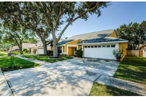 9613 CYPRESS BROOK ROAD, TAMPA, FL 33647 - MLS#MFRTB8428669